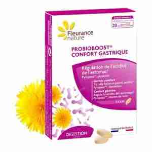 FLEURANCE NATURE PROBIOBOOST CONFORT GASTRICO 15 COMP