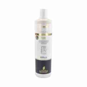 SANASUR CHAMPU DE VINAGRE DE JEREZ 500ml.