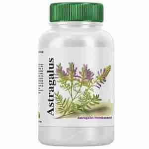 VBYOTICS ASTRAGALUS ext. raiz 120cap.