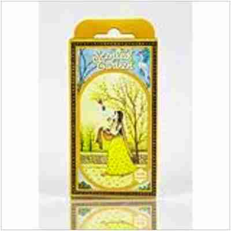 RADHE SHYAM INCIENSO CONO MAGNOLIA 12uds. SCENTED GARDEN