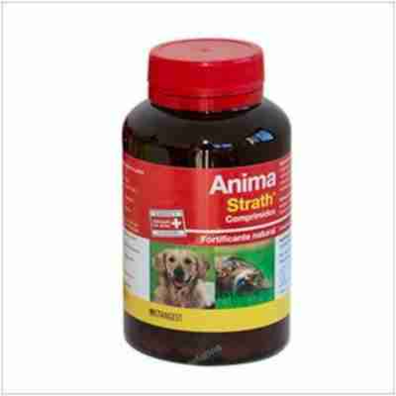 Stangest Vet Anima Strath 240 Comp bote Vet