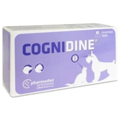 Pharmadiet Cognidine, 60 comprimidos